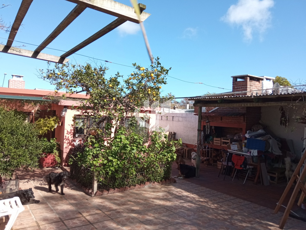 Casa ID.470 - Venta, casa, 3 dormitorios, Centro, Maldonado