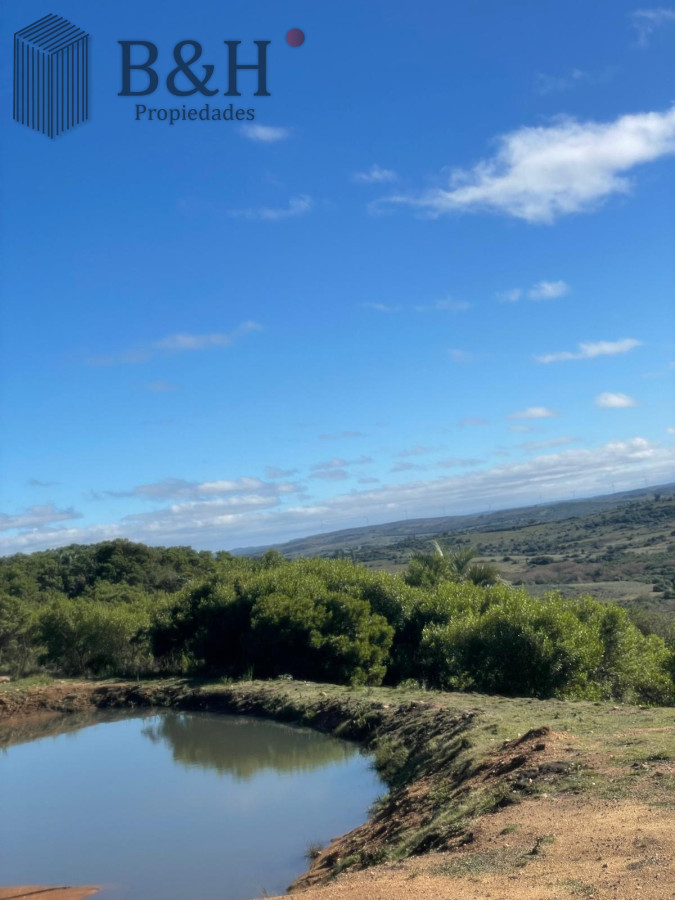 Las Cañas - GoPunta - Portal Inmobiliario de Punta del Este - Maldonado