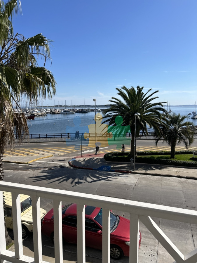 Puerto - GoPunta - Portal Inmobiliario de Punta del Este - Maldonado