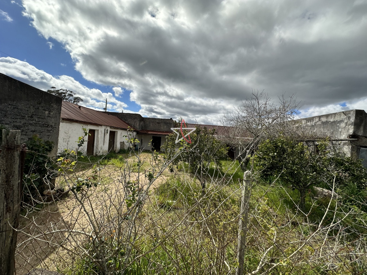 Zona Rural - GoPunta - Portal Inmobiliario de Punta del Este - Maldonado