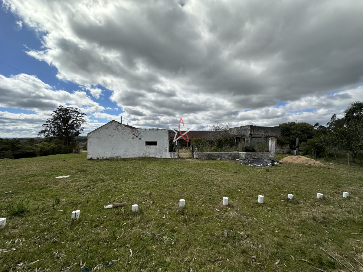 Zona Rural - GoPunta - Portal Inmobiliario de Punta del Este - Maldonado