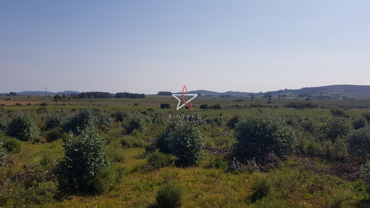 Camino de los Ceibos - GoPunta - Portal Inmobiliario de Punta del Este - Maldonado