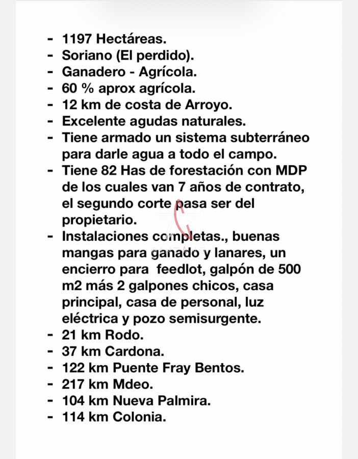 Soriano 1200 has - GoPunta - Portal Inmobiliario de Punta del Este - Maldonado