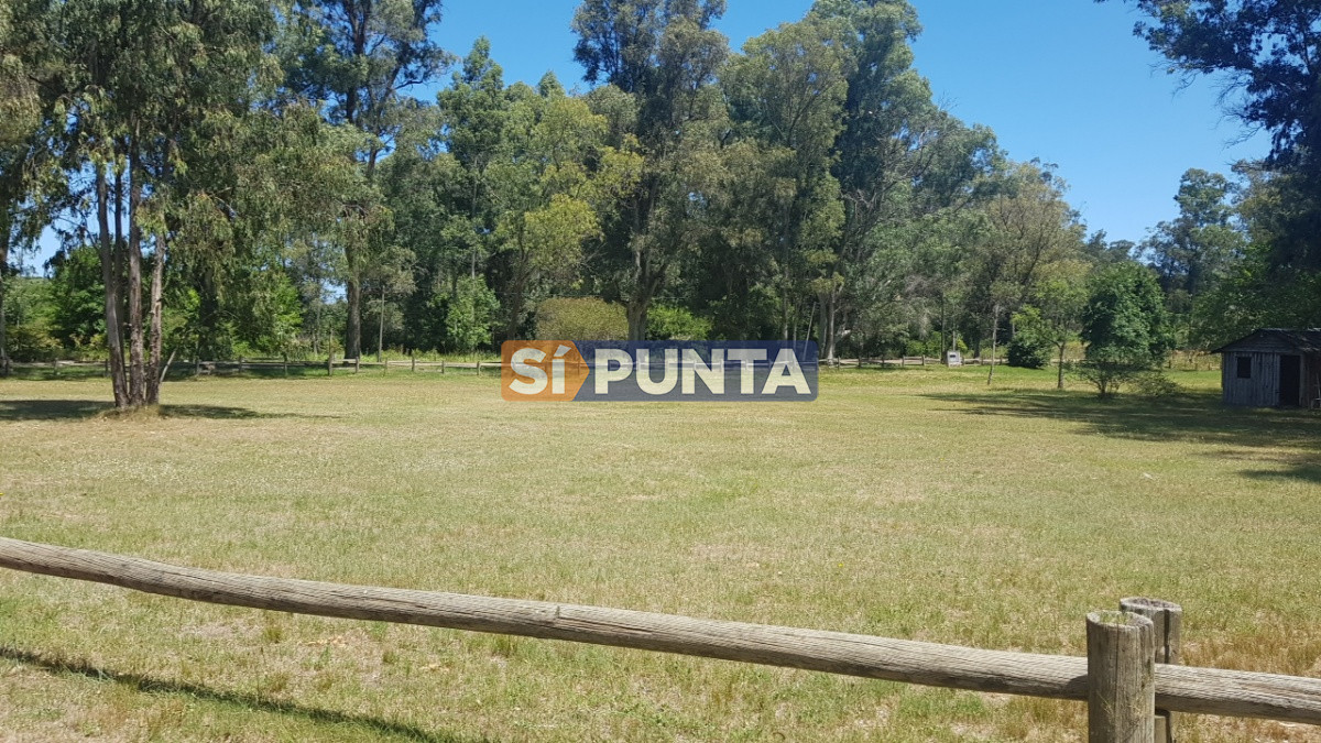 Chacra en venta para emprendimientos  - SPT14873H