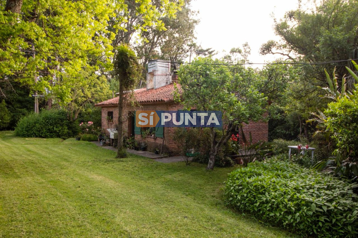 Chacra ID.13680 - Venta chacra sobre Laguna del Sauce 