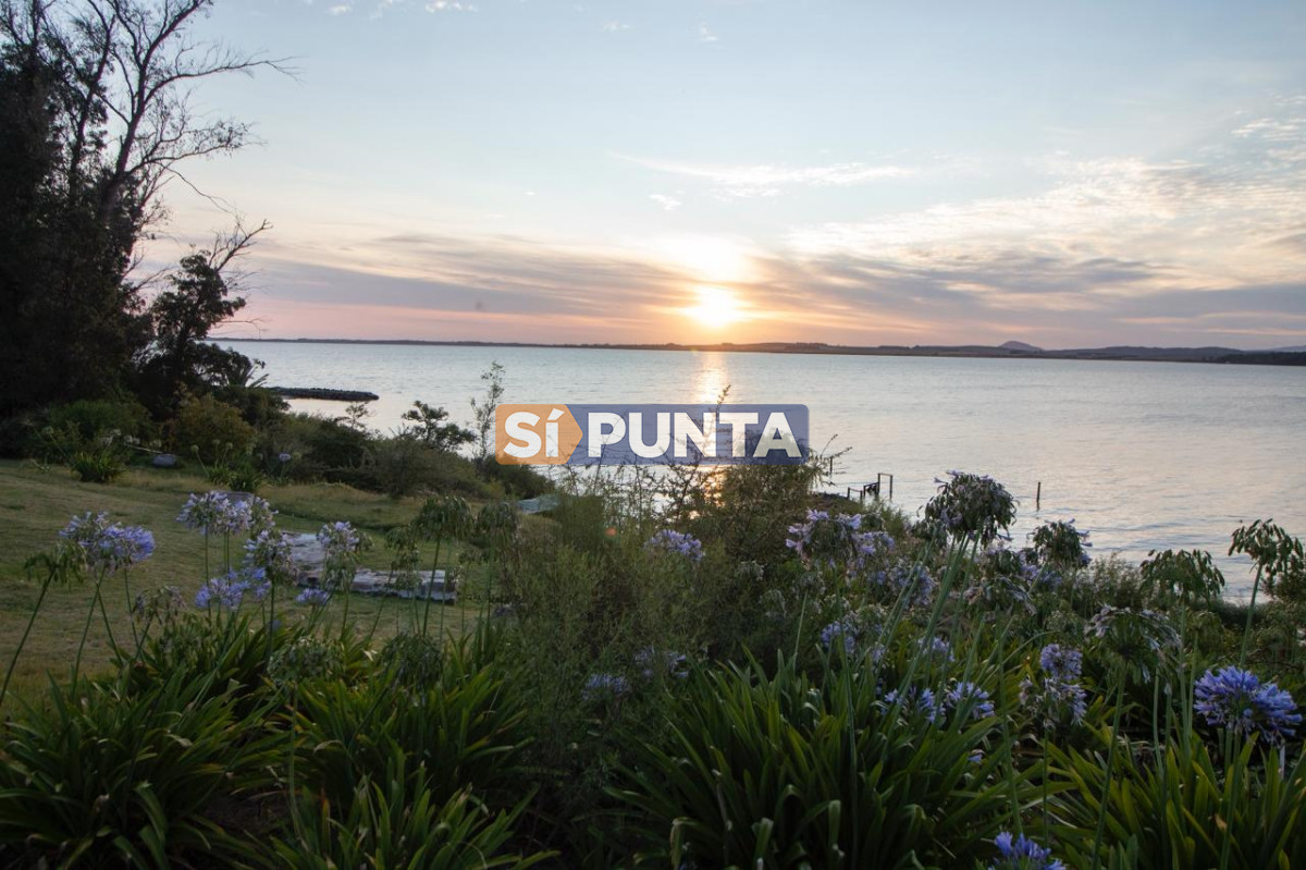 Chacra ID.13680 - Venta chacra sobre Laguna del Sauce 