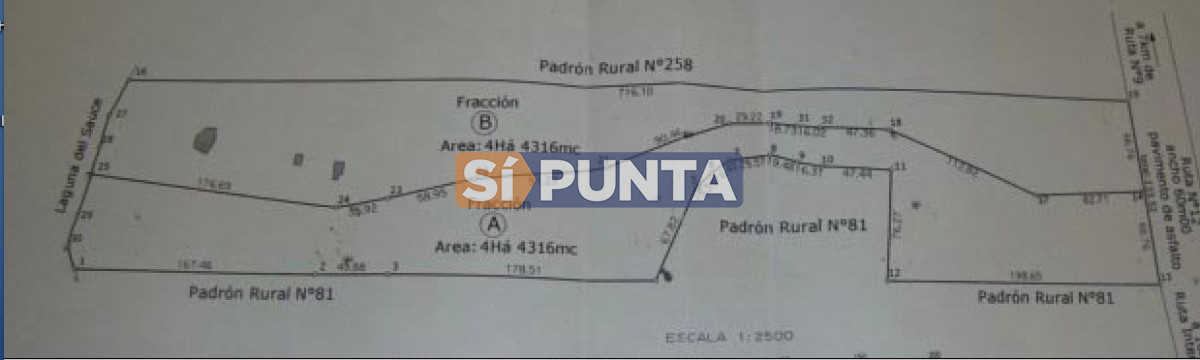 Chacra ID.13680 - Venta chacra sobre Laguna del Sauce 