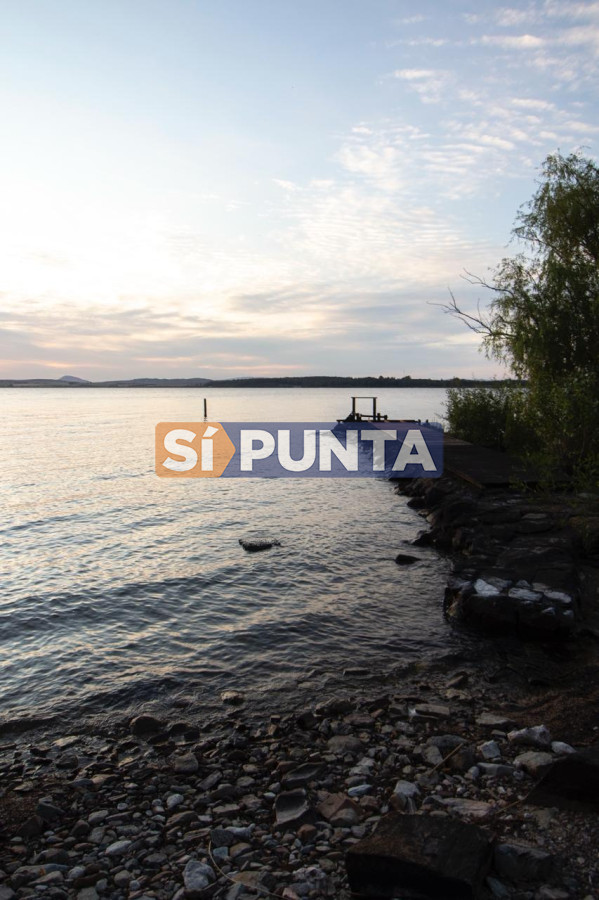 Chacra ID.13680 - Venta chacra sobre Laguna del Sauce 