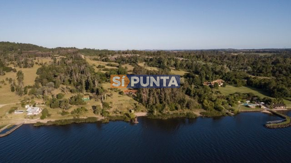 Chacra ID.13680 - Venta chacra sobre Laguna del Sauce 