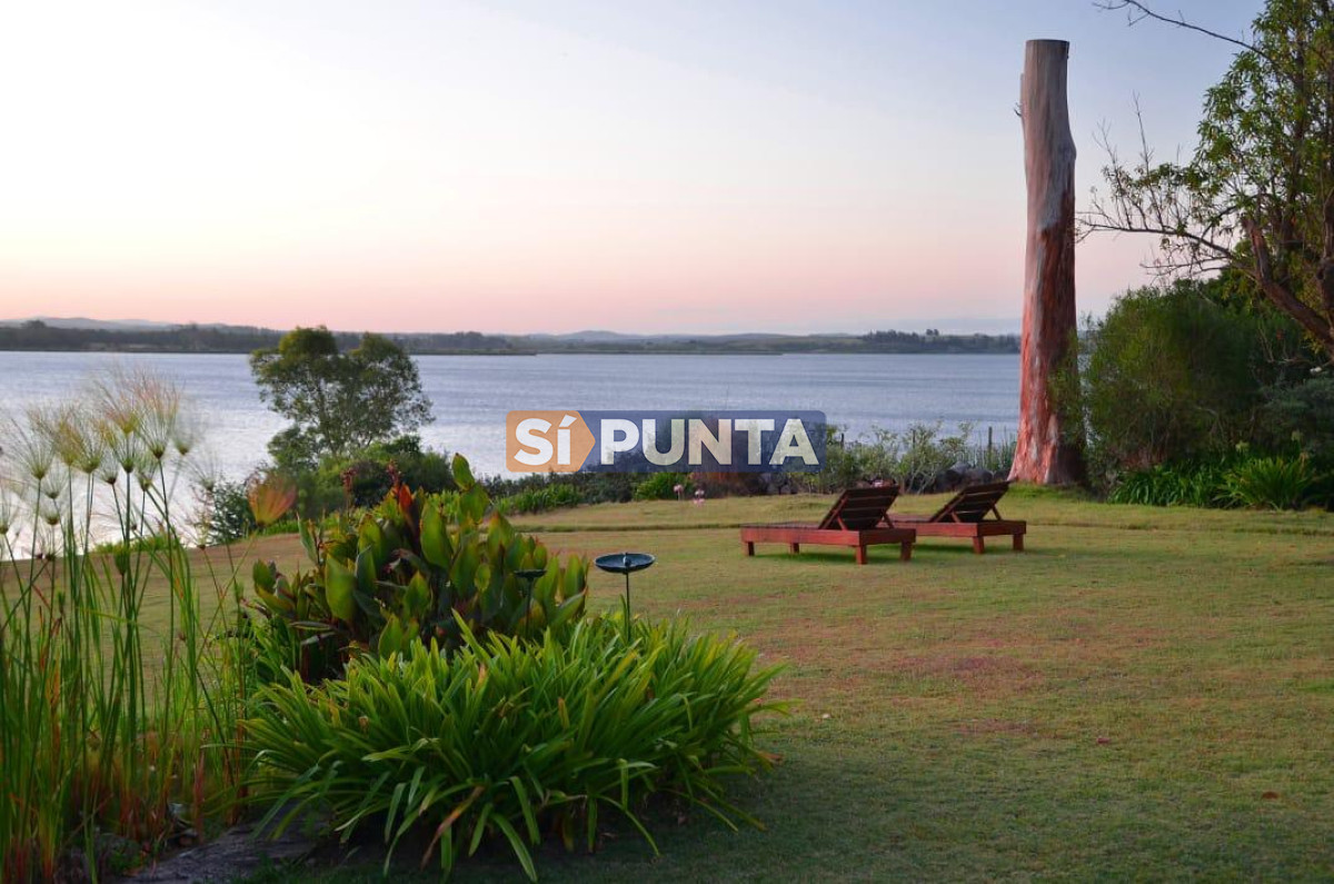 Chacra ID.13680 - Venta chacra sobre Laguna del Sauce 