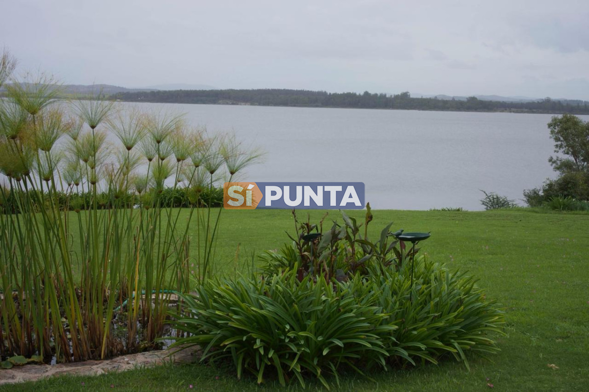 Chacra ID.13680 - Venta chacra sobre Laguna del Sauce 