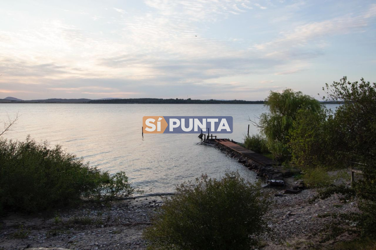 Chacra ID.13680 - Venta chacra sobre Laguna del Sauce 