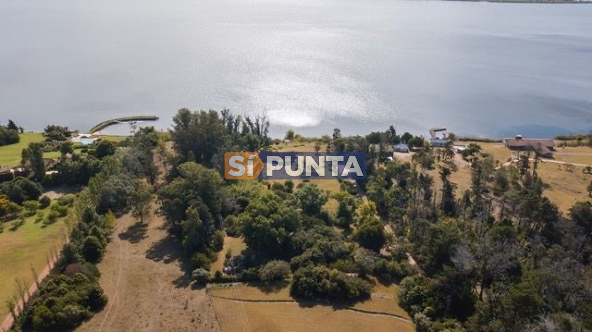 Chacra ID.13680 - Venta chacra sobre Laguna del Sauce 