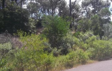 Terreno en Punta Ballena, Club del Lago