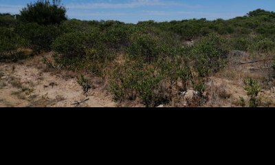 Lote junto al mar
