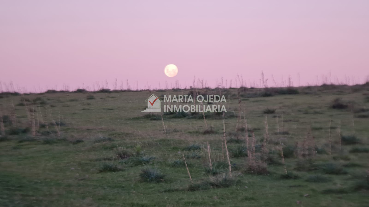 Pueblo Eden - GoPunta - Portal Inmobiliario de Punta del Este - Maldonado