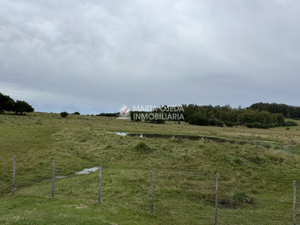 Chacra ID.40868 - Venta de chacras en Pueblo Edén 