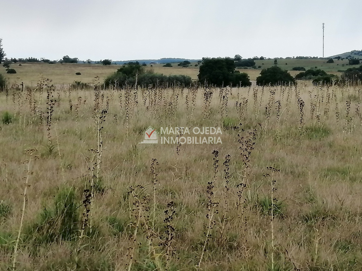 Pueblo Eden - GoPunta - Portal Inmobiliario de Punta del Este - Maldonado