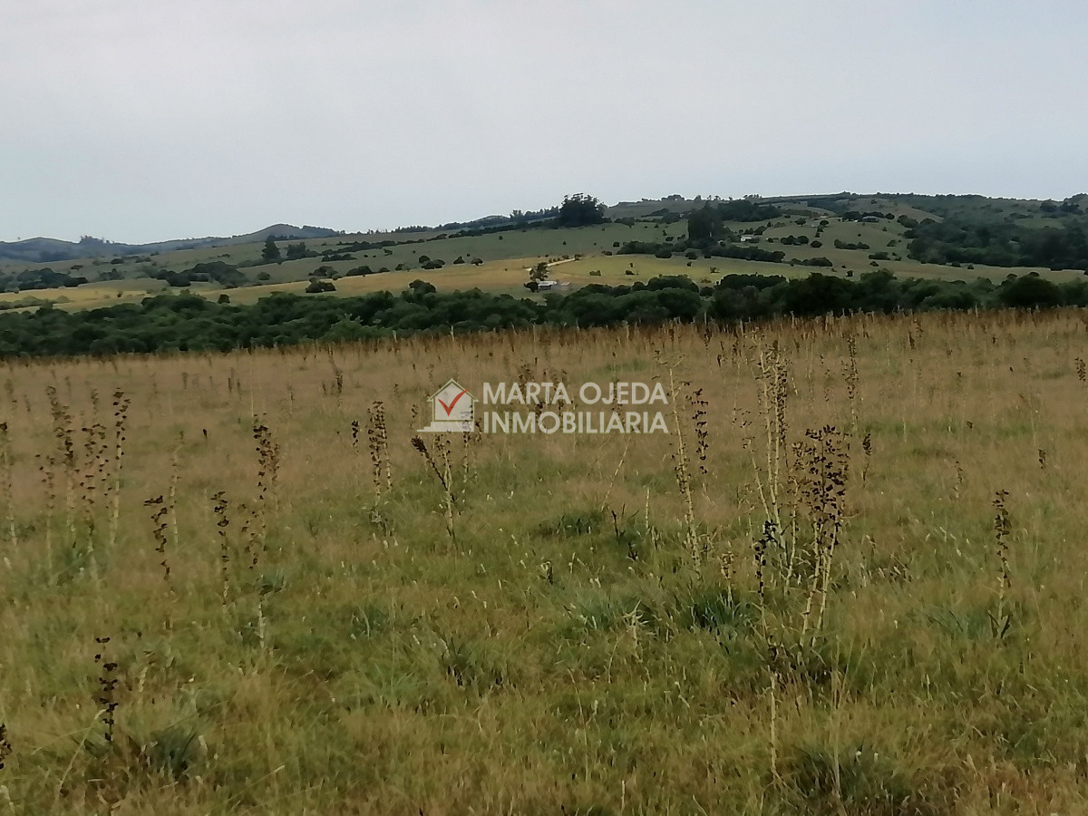 Pueblo Eden - GoPunta - Portal Inmobiliario de Punta del Este - Maldonado