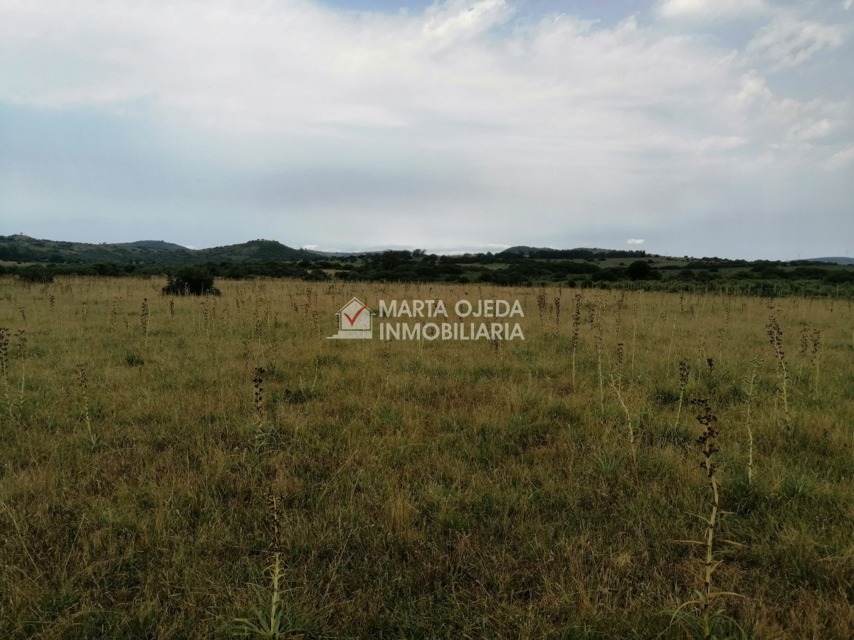 Pueblo Eden - GoPunta - Portal Inmobiliario de Punta del Este - Maldonado
