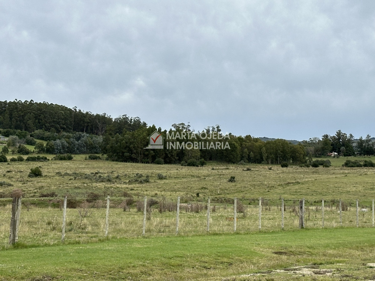 Chacra ID.40868 - Venta de chacras en Pueblo Edén 