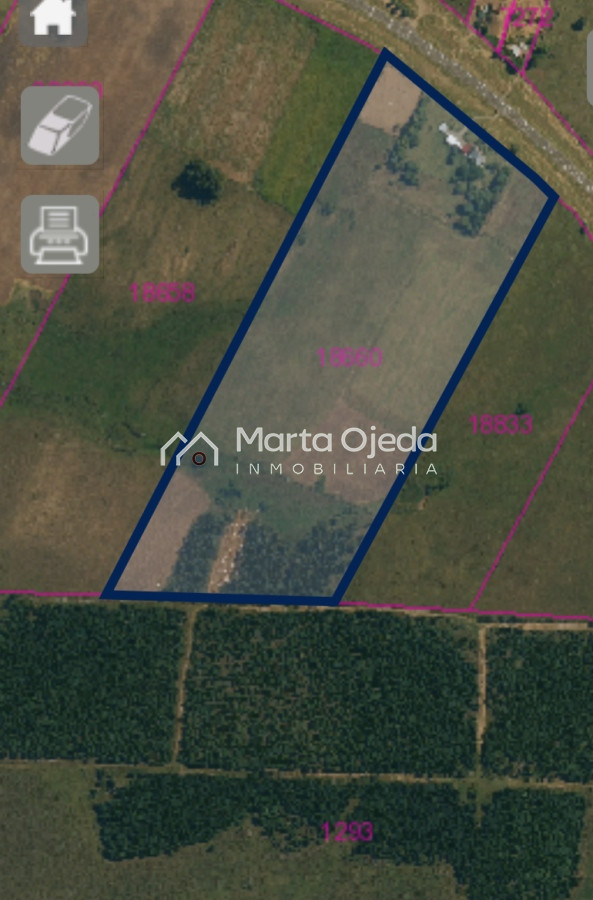 Chacra ID.41584 - Venta chacra Maldonado 