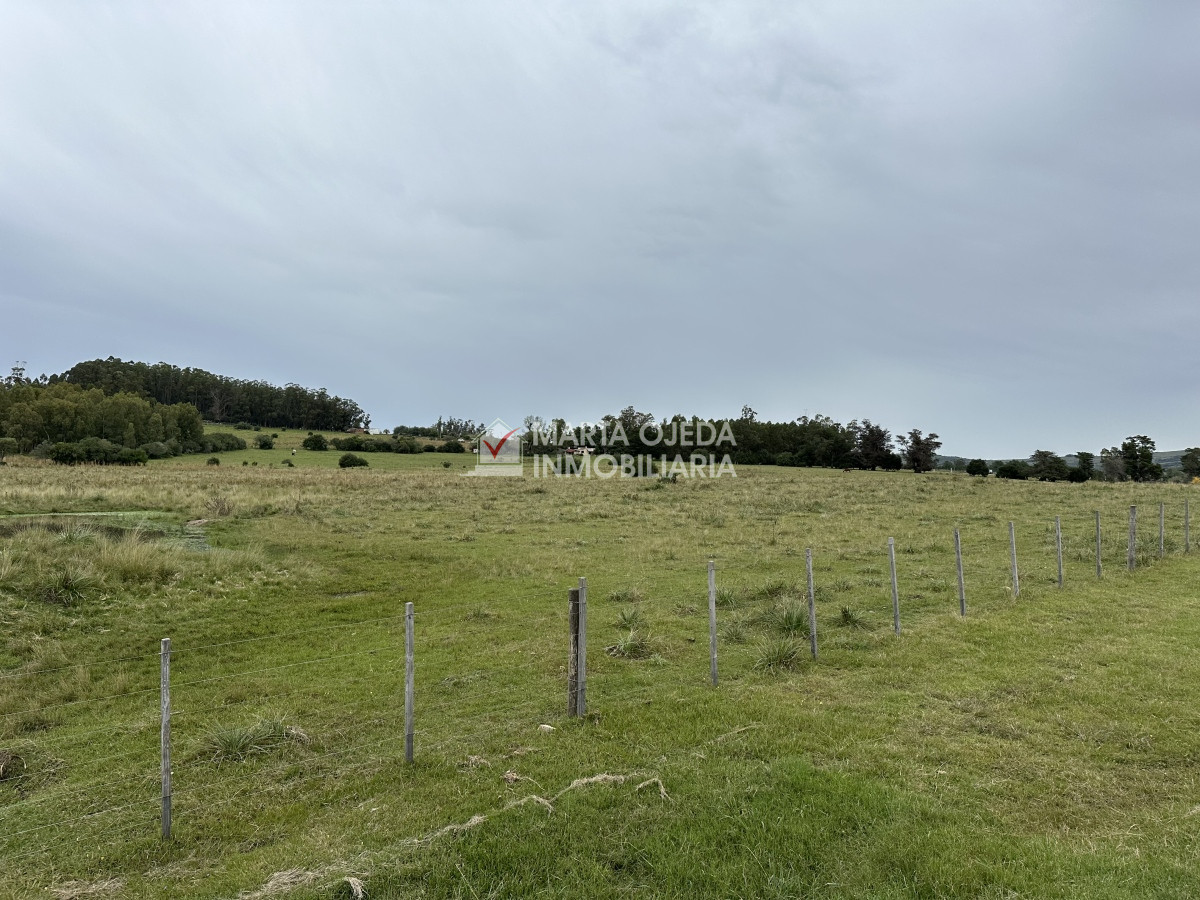 Chacra ID.40868 - Venta de chacras en Pueblo Edén 