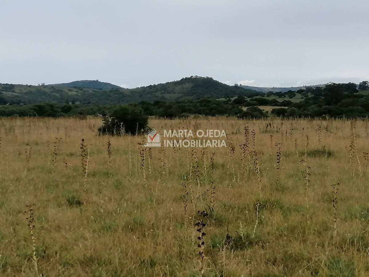 Pueblo Eden - GoPunta - Portal Inmobiliario de Punta del Este - Maldonado