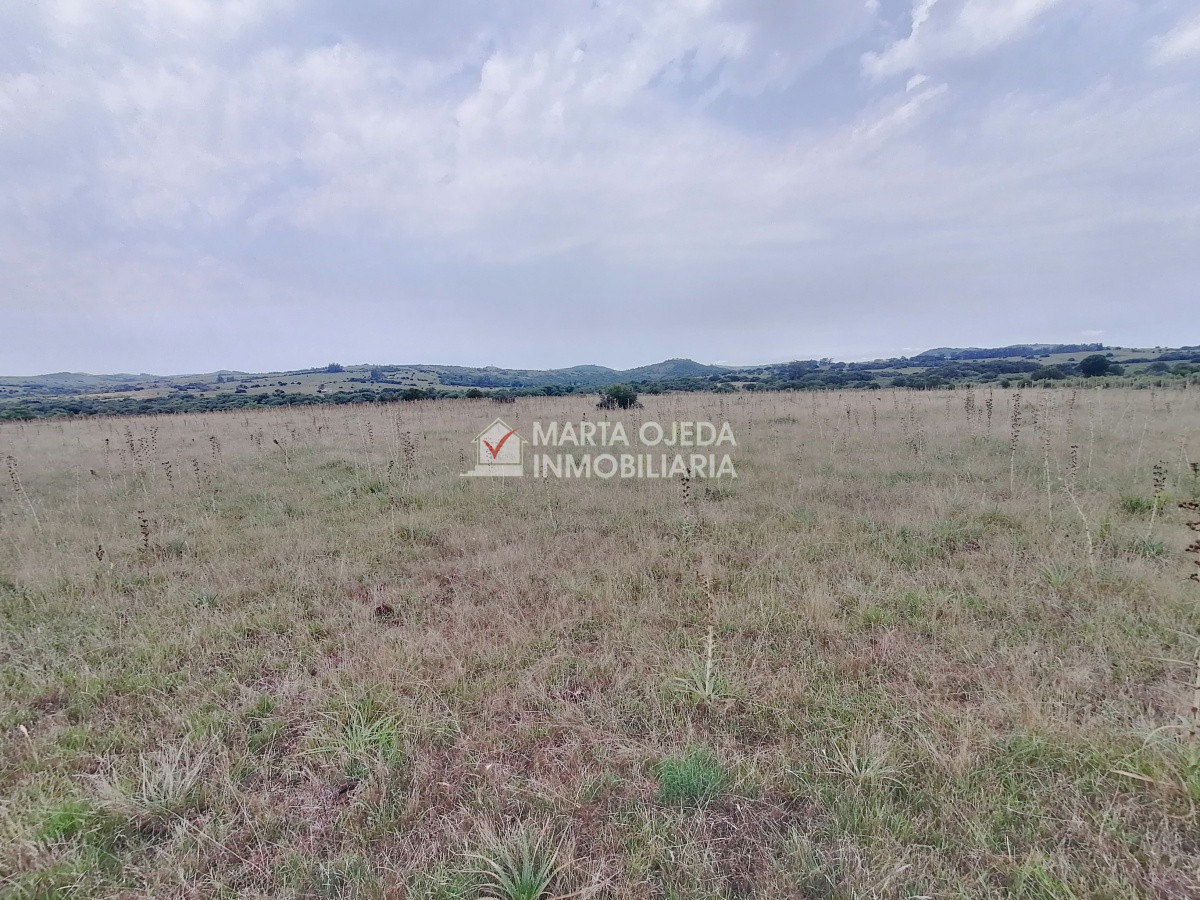Pueblo Eden - GoPunta - Portal Inmobiliario de Punta del Este - Maldonado