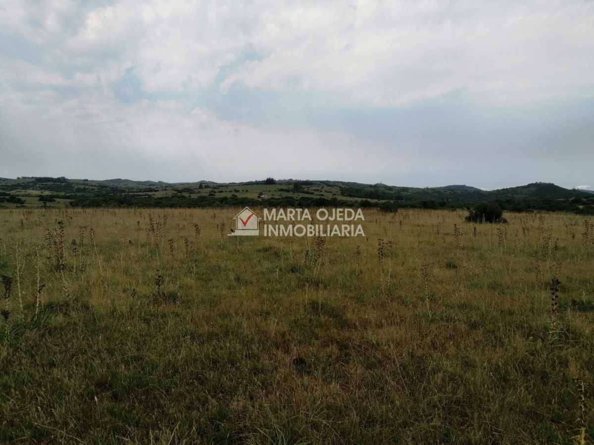 Pueblo Eden - GoPunta - Portal Inmobiliario de Punta del Este - Maldonado
