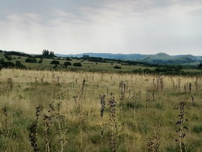 Venta chacras en Pueblo Edén 
