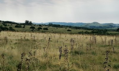 Venta chacras en Pueblo Edén