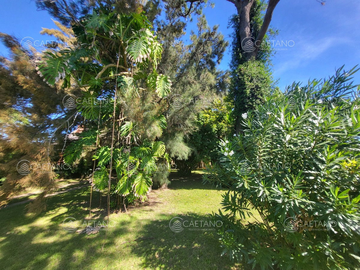 Tio Tom - GoPunta - Portal Inmobiliario de Punta del Este - Maldonado