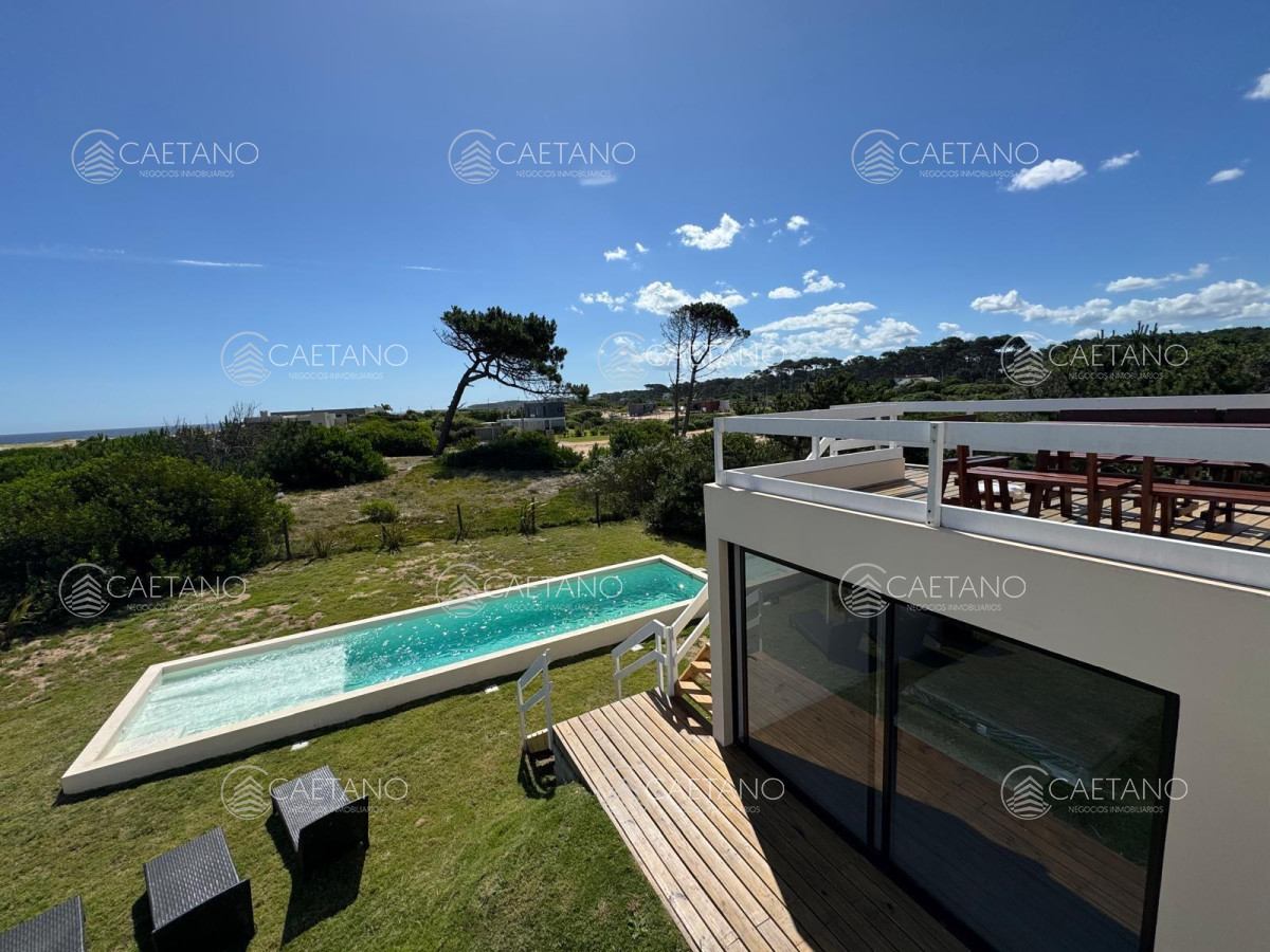 Chihuahua - GoPunta - Portal Inmobiliario de Punta del Este - Maldonado