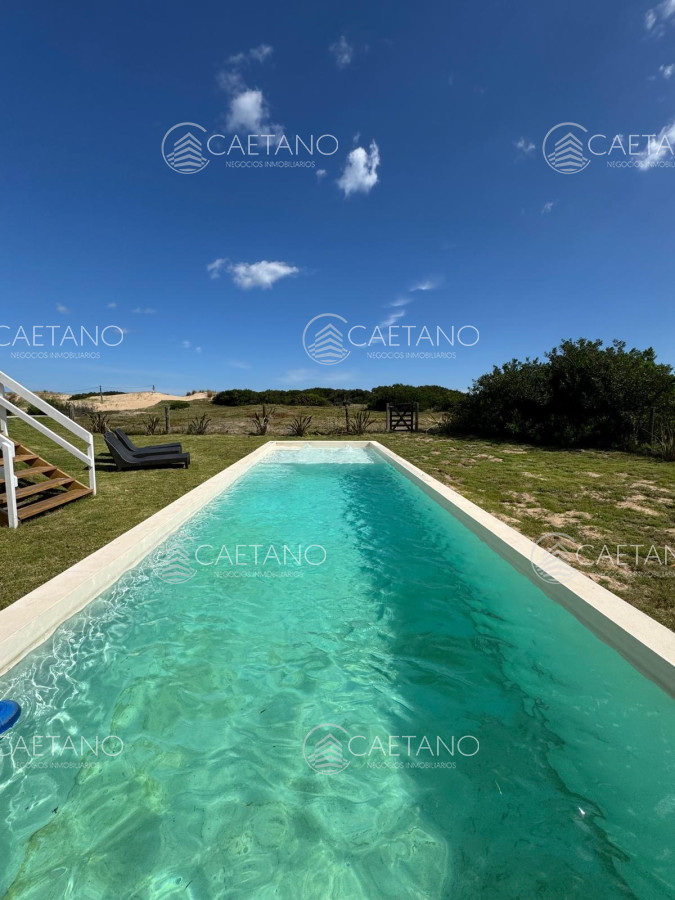 Chihuahua - GoPunta - Portal Inmobiliario de Punta del Este - Maldonado
