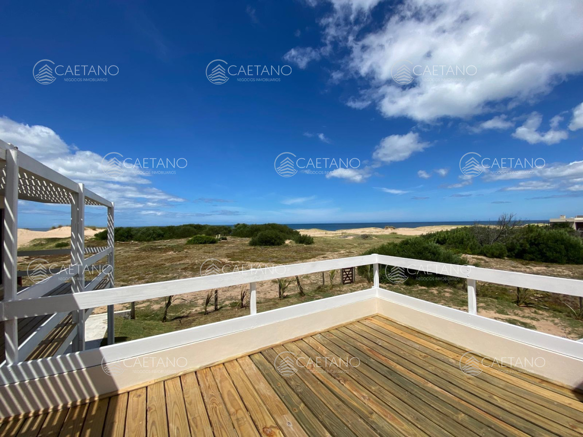 Chihuahua - GoPunta - Portal Inmobiliario de Punta del Este - Maldonado