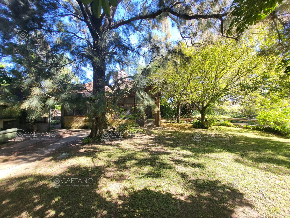 Tio Tom - GoPunta - Portal Inmobiliario de Punta del Este - Maldonado