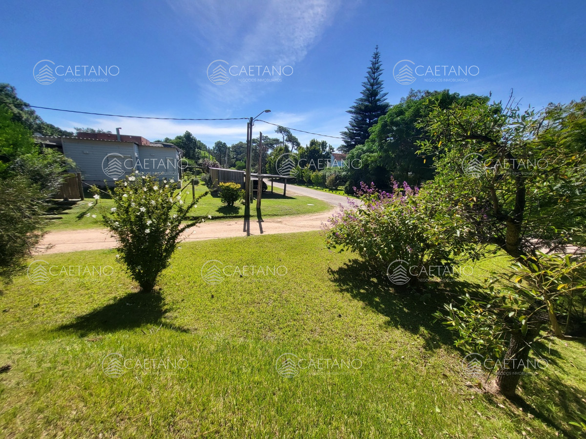Tio Tom - GoPunta - Portal Inmobiliario de Punta del Este - Maldonado