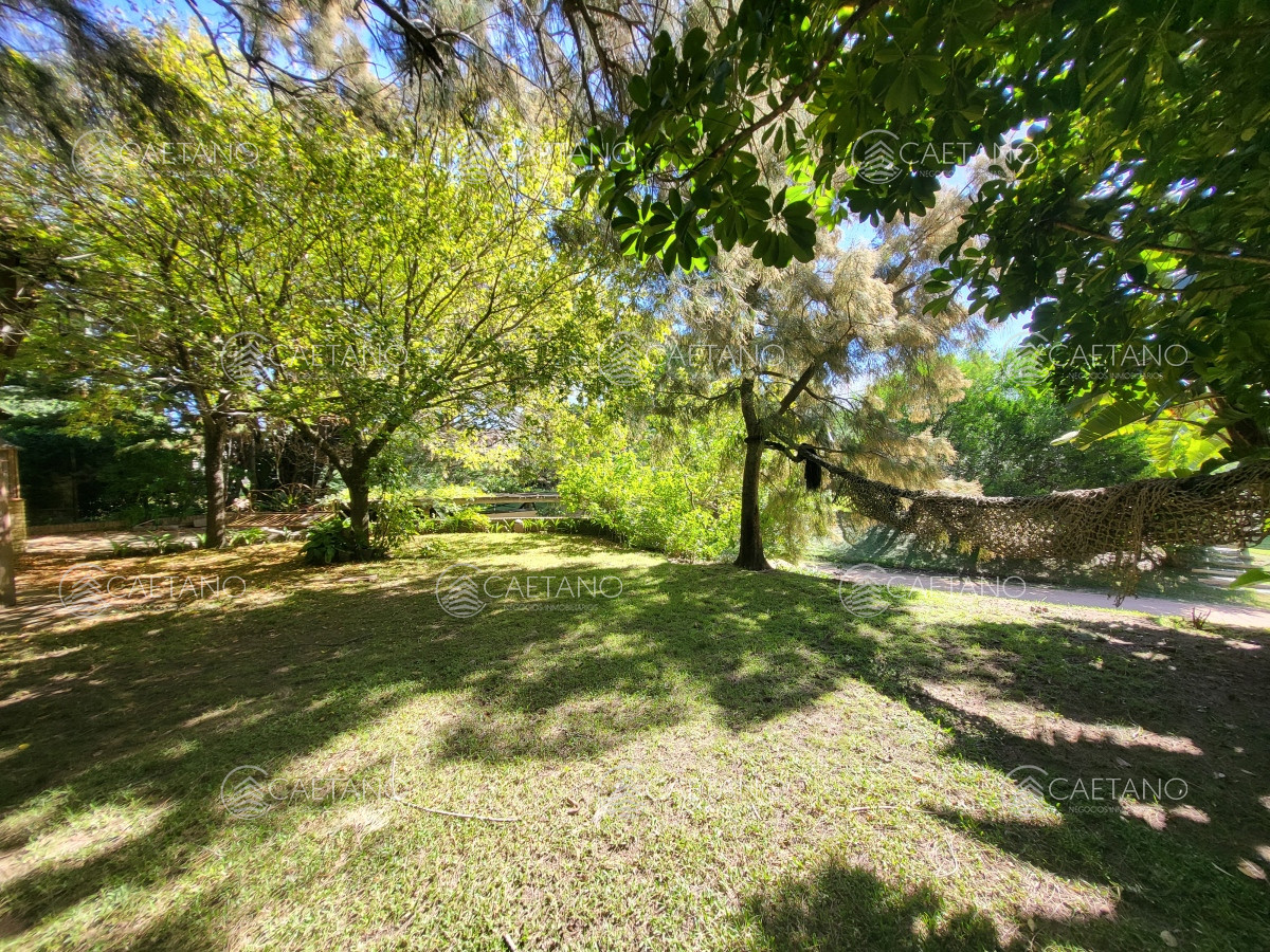 Tio Tom - GoPunta - Portal Inmobiliario de Punta del Este - Maldonado