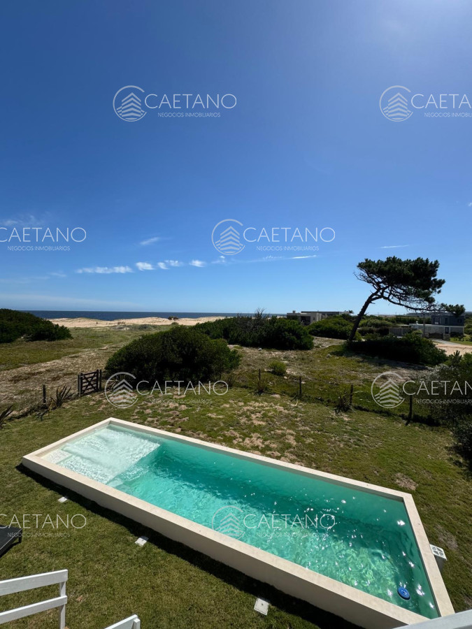 Chihuahua - GoPunta - Portal Inmobiliario de Punta del Este - Maldonado
