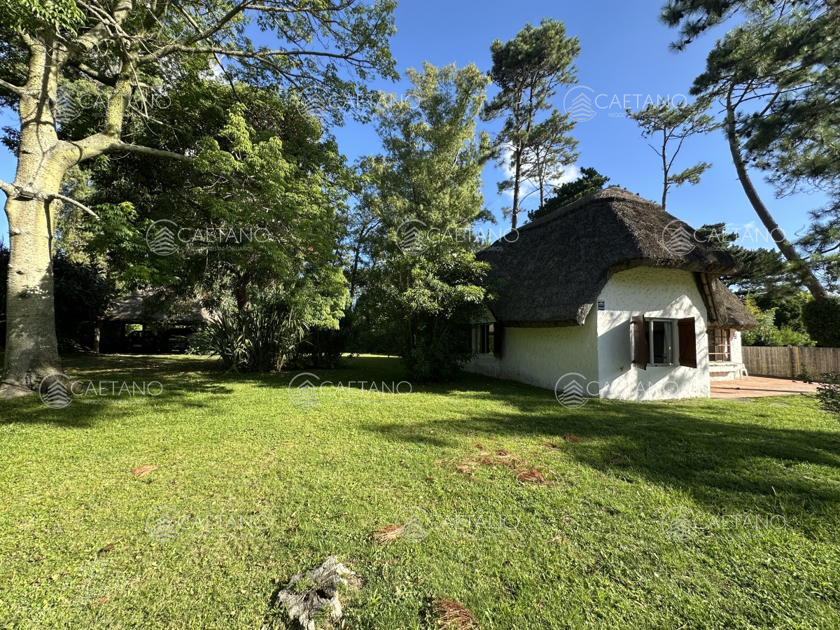Pinares - GoPunta - Portal Inmobiliario de Punta del Este - Maldonado