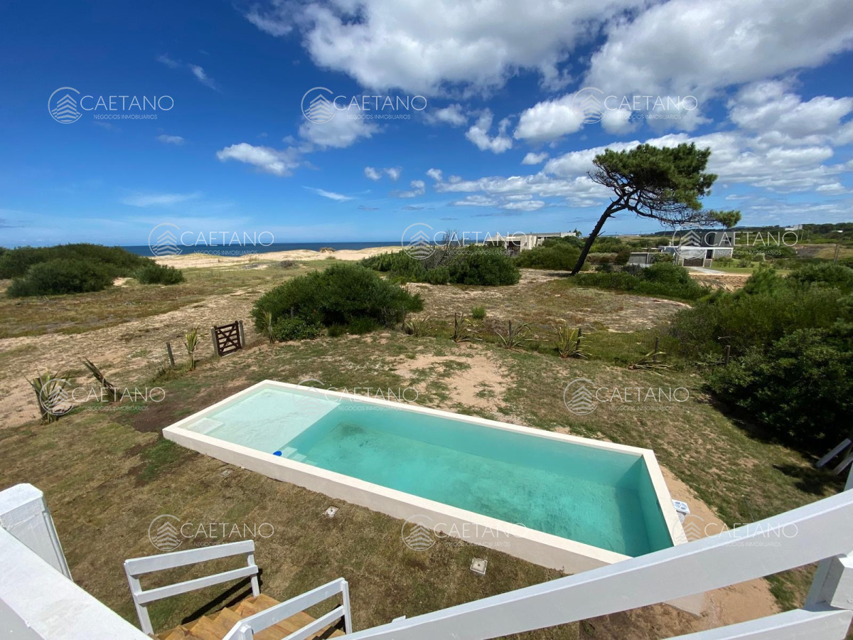 Chihuahua - GoPunta - Portal Inmobiliario de Punta del Este - Maldonado