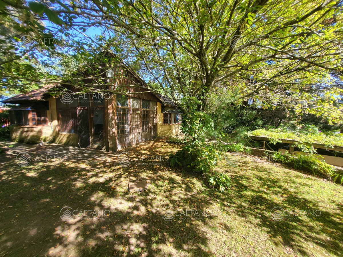 Tio Tom - GoPunta - Portal Inmobiliario de Punta del Este - Maldonado