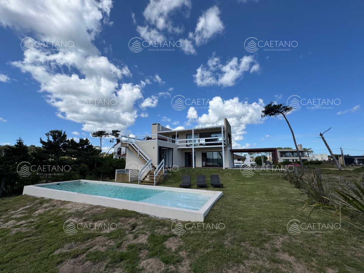 Chihuahua - GoPunta - Portal Inmobiliario de Punta del Este - Maldonado