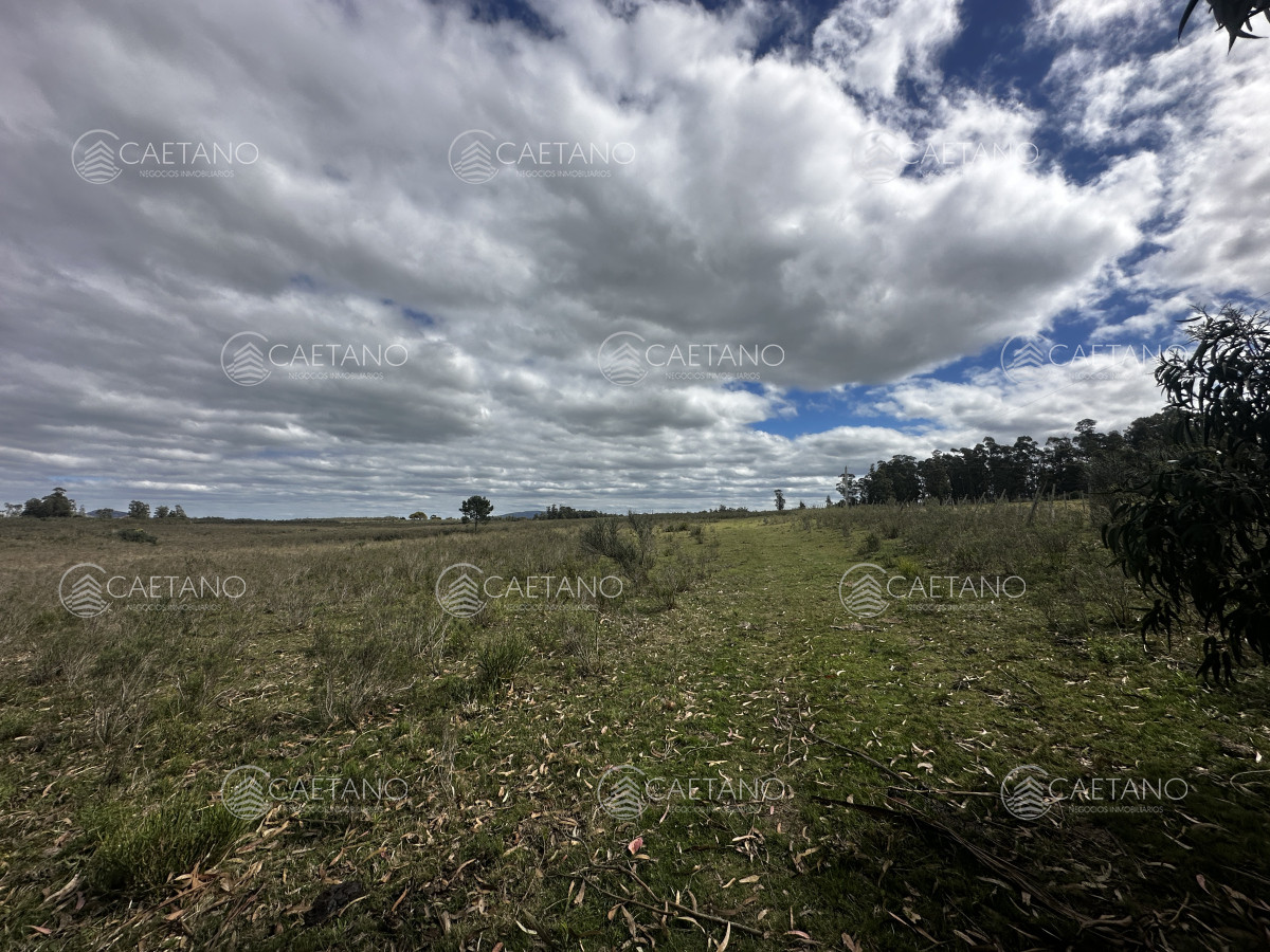 Zona Rural - GoPunta - Portal Inmobiliario de Punta del Este - Maldonado