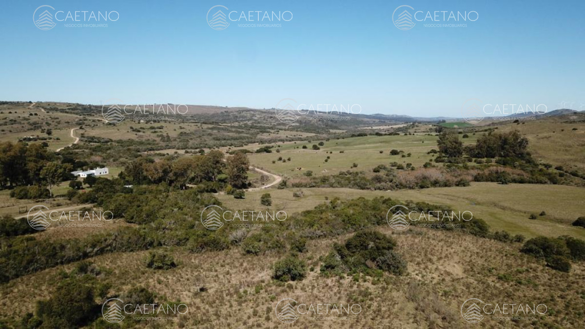 Zona Rural - GoPunta - Portal Inmobiliario de Punta del Este - Maldonado