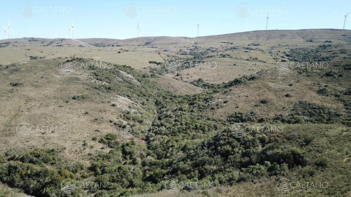 Zona Rural - GoPunta - Portal Inmobiliario de Punta del Este - Maldonado