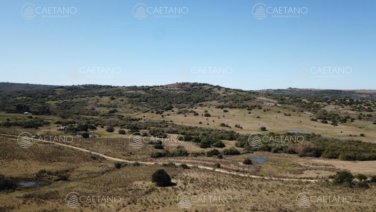 Zona Rural - GoPunta - Portal Inmobiliario de Punta del Este - Maldonado
