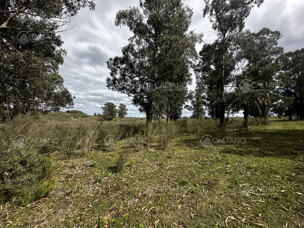 Zona Rural - GoPunta - Portal Inmobiliario de Punta del Este - Maldonado