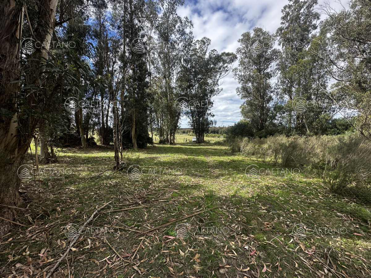 Zona Rural - GoPunta - Portal Inmobiliario de Punta del Este - Maldonado